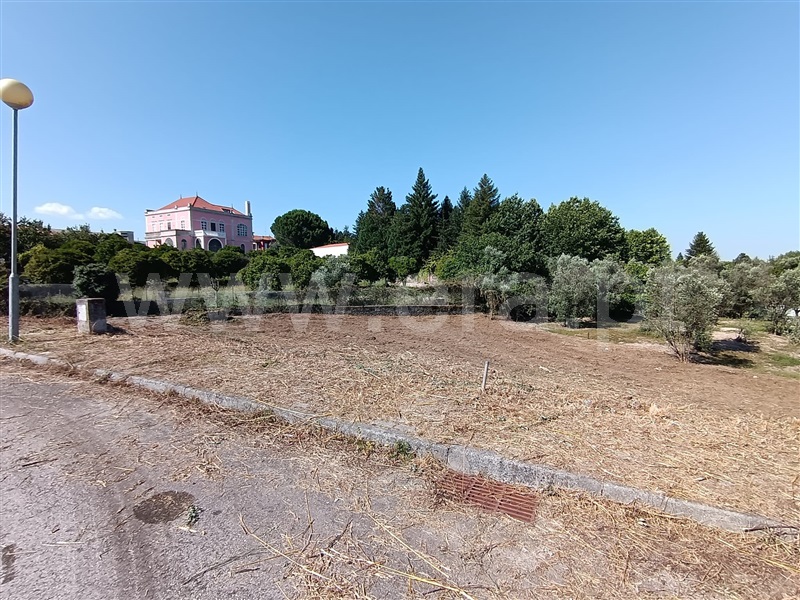 Lote / Nelas, Nelas