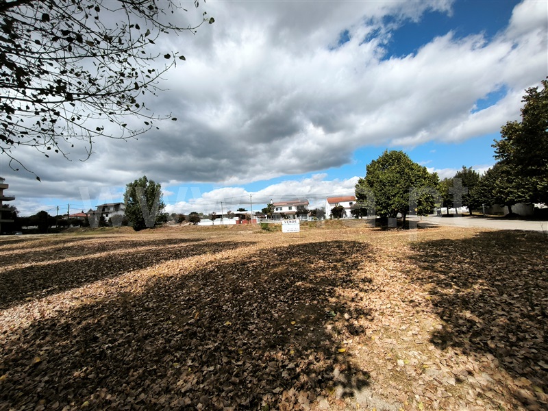Lote / Nelas, Nelas