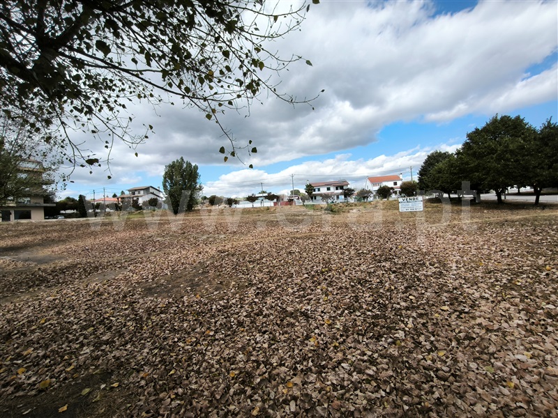 Lote  com Urbano Nelas - 1506012 - 3