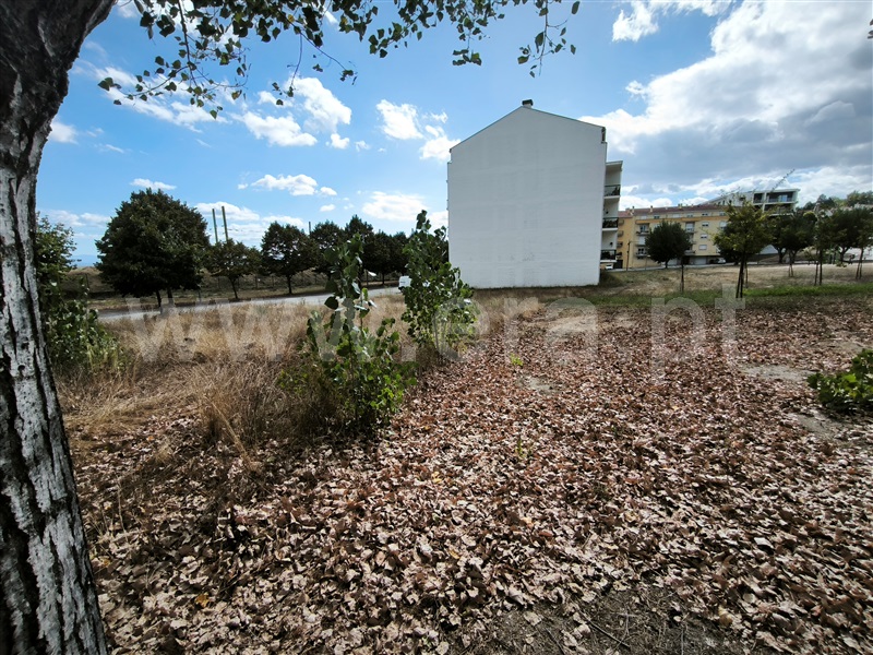 Lote  com Urbano Nelas - 1506012 - 4