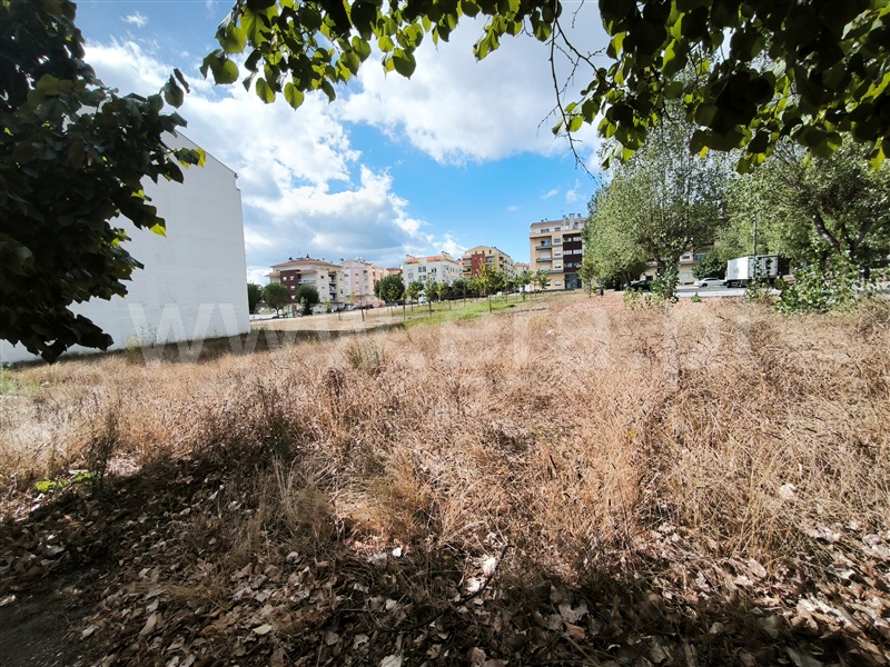 Lote  com Urbano Nelas - 1506012 - 5