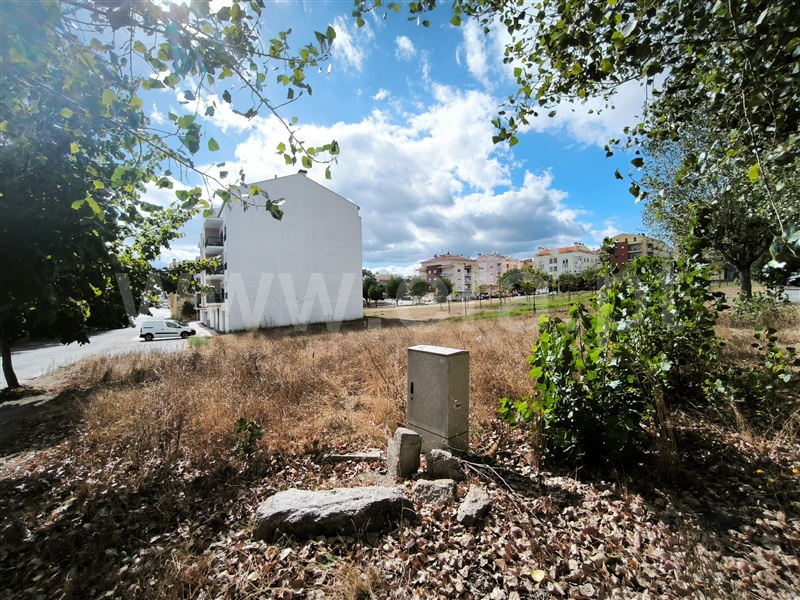 Lote  com Urbano Nelas - 1506016 - 3