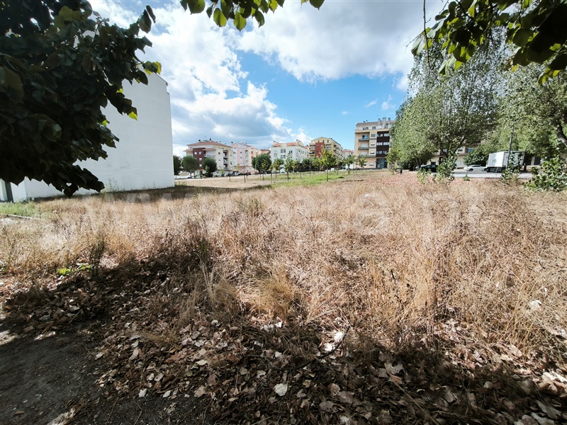Lote  com Urbano Nelas - 1506016 - 4