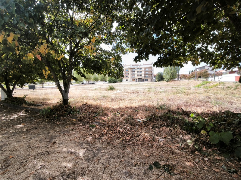 Lote  com Urbano Nelas - 1506016 - 5