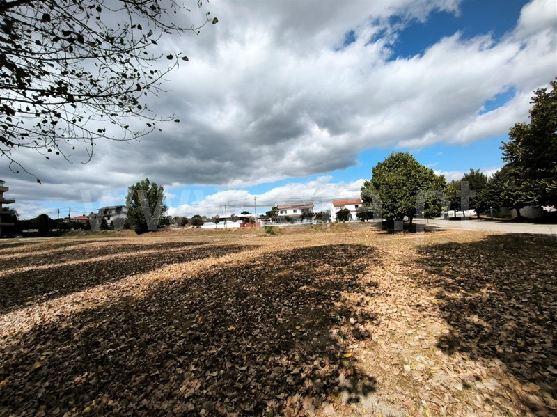 Lote  com Urbano Nelas - 1506016 - 8