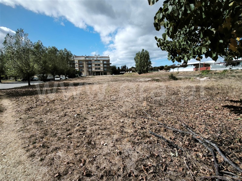 Lote  com Urbano Nelas - 1506016 - 8