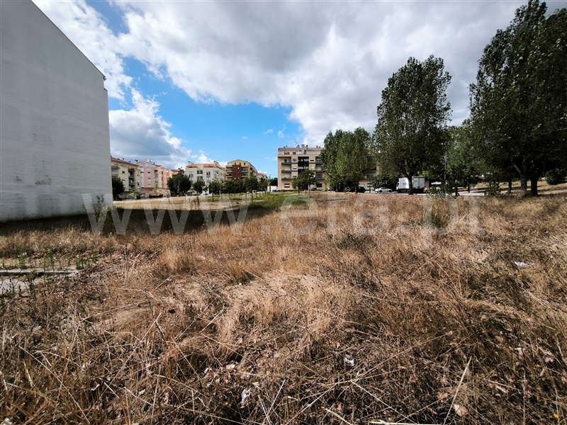 Lote  Nelas - 1506022 - 3