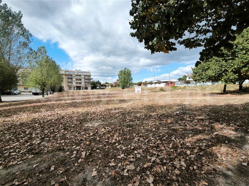 Lote  Nelas - 1506022 - 4