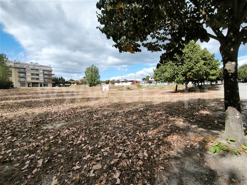 Lote  Nelas - 1506022 - 5