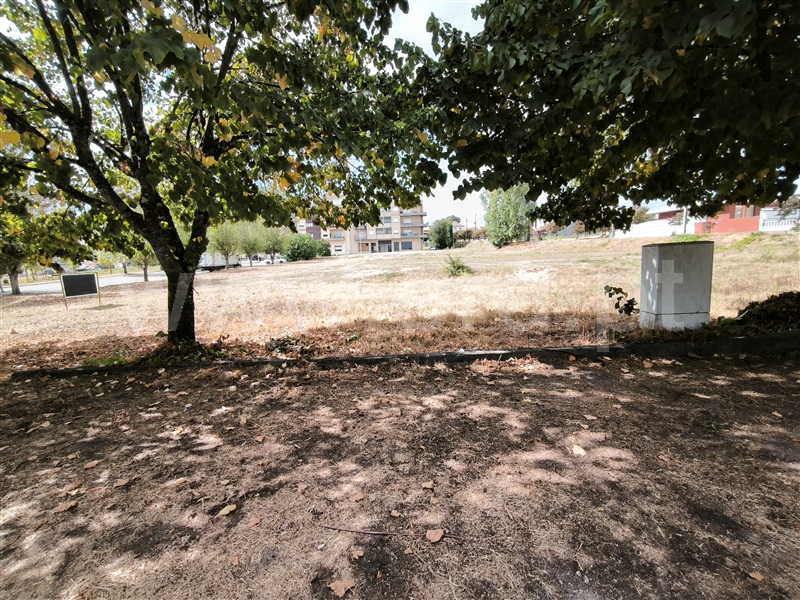 Lote  Nelas - 1506022 - 8