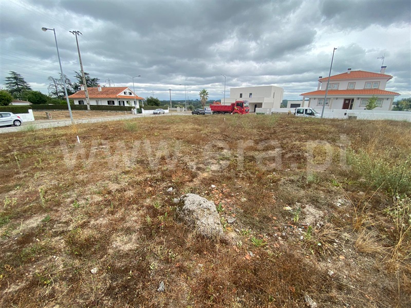 Lote  Nelas, Santar e Moreira - 1346151 - 2