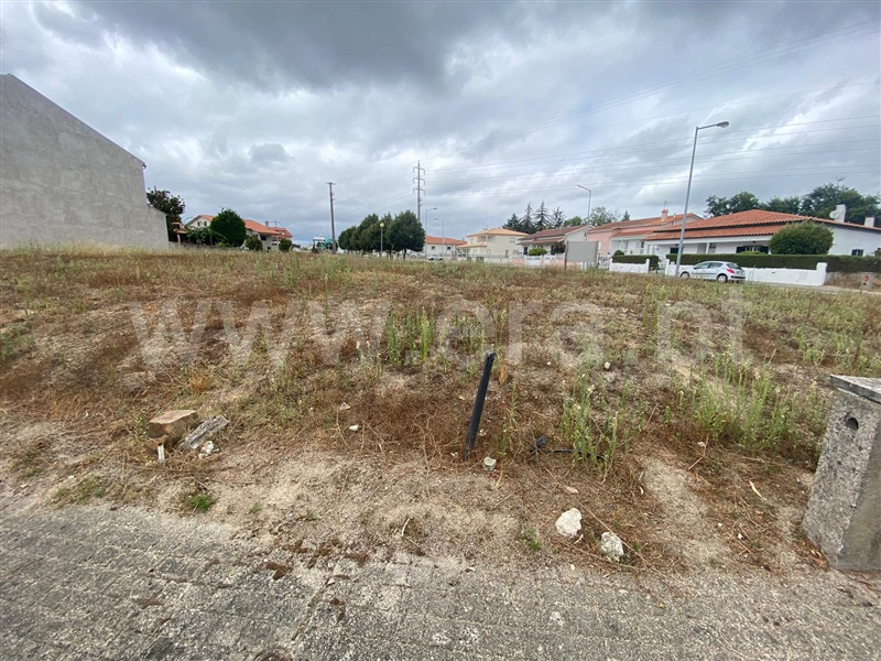 Lote  Nelas, Santar e Moreira - 1346151 - 4