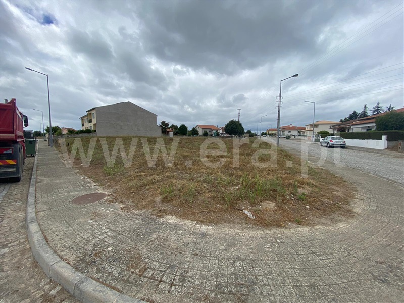 Lote / Nelas, Santar e Moreira