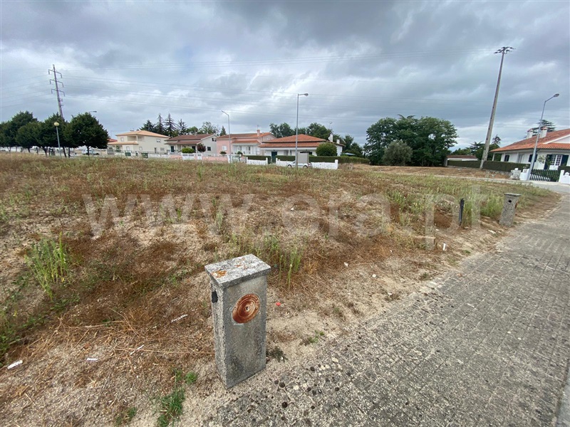 Lote  Nelas, Santar e Moreira - 1346151 - 6