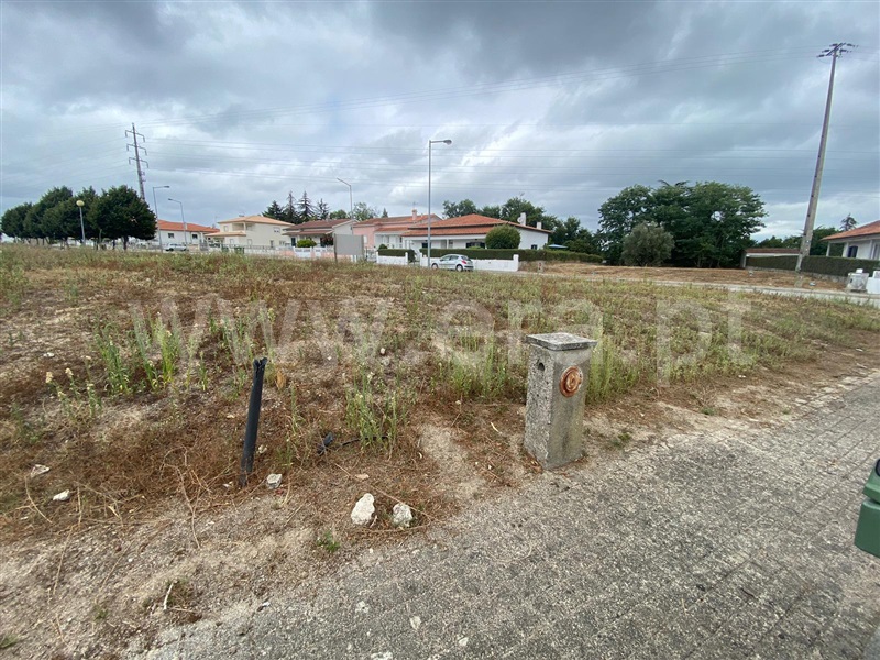 Lote  Nelas, Santar e Moreira - 1346151 - 7