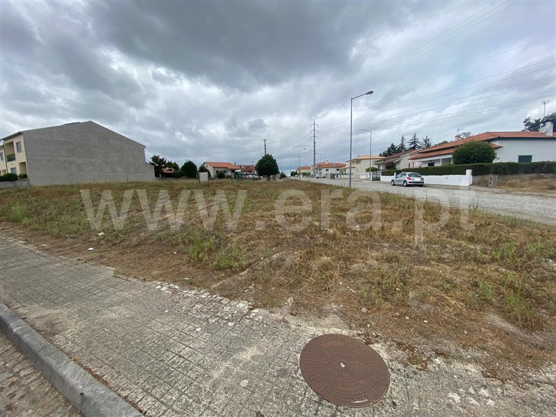 Lote  Nelas, Santar e Moreira - 1346151 - 8