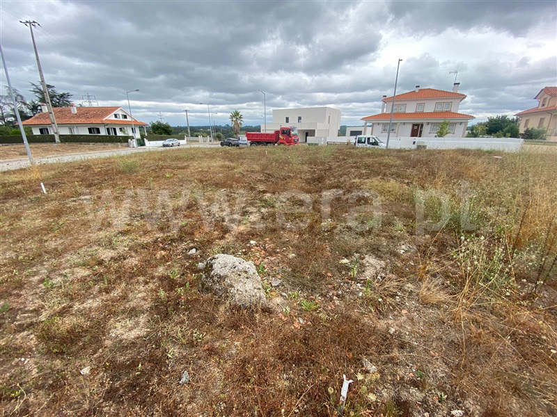 Lote  Nelas, Santar e Moreira - 1346151 - 9