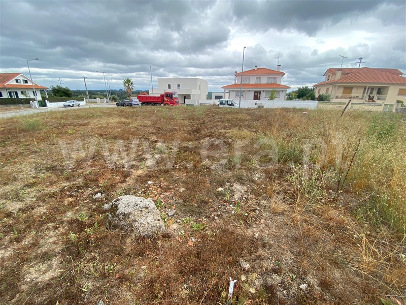 Lote  Nelas, Santar e Moreira - 1346151 - 10