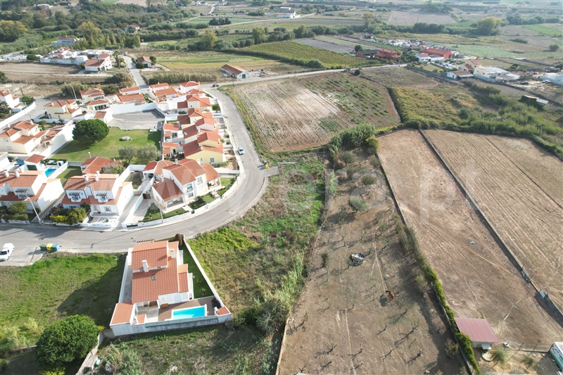 Lote / Óbidos, Amoreira