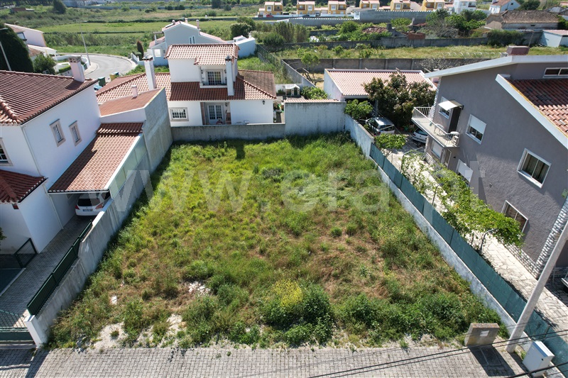 Lote  Óbidos, Amoreira - 988953 - 4