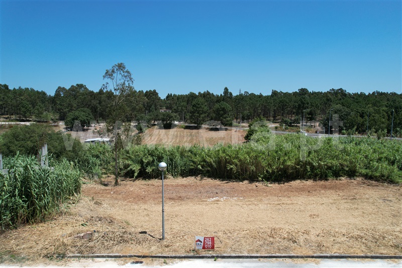 Lote / Óbidos, Bª Sra. da Luz