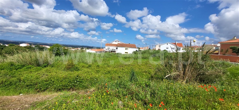 Lote  Óbidos, Gaeiras - 1481116 - 4