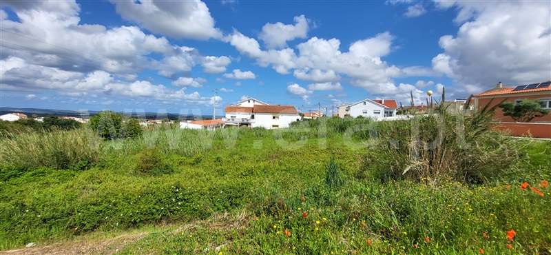 Lote / Óbidos, Gaeiras