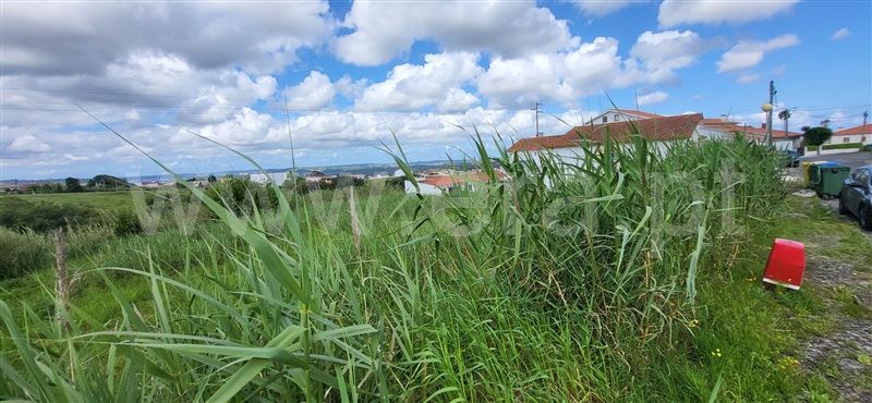 Lote  Óbidos, Gaeiras - 1481126 - 5