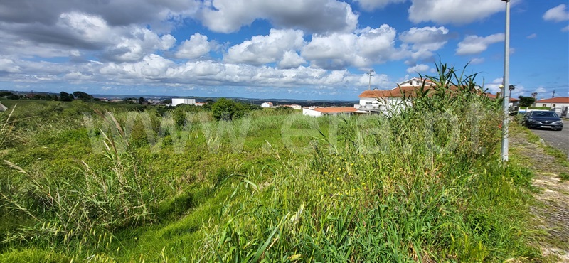 Lote  Óbidos, Gaeiras - 1481126 - 6