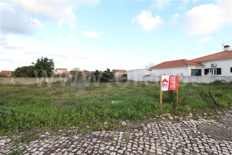 Lote / Óbidos, Olho Marinho