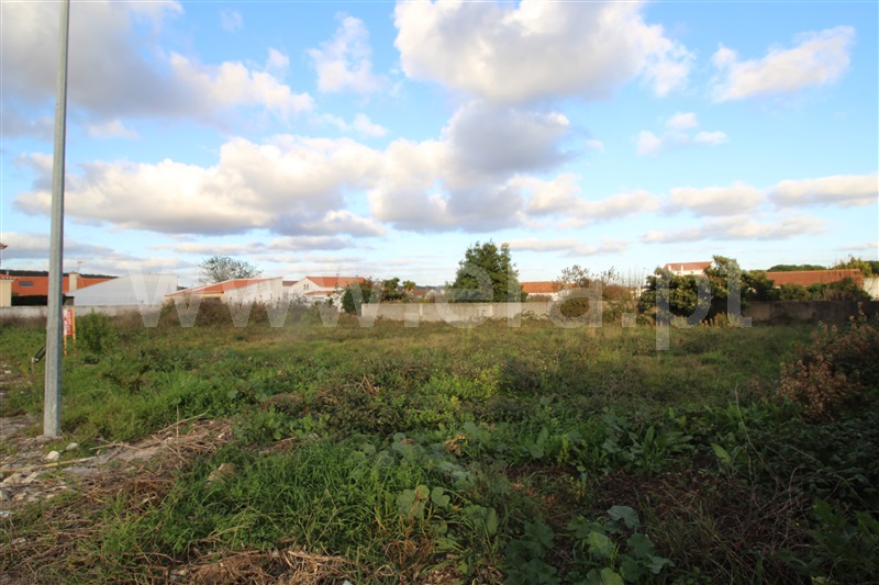 Lote  com Urbano Óbidos, Olho Marinho - 1213006 - 2