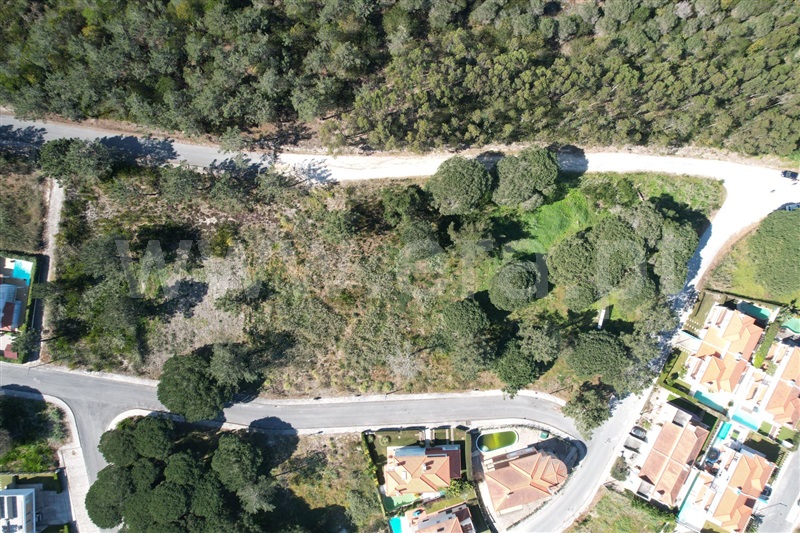 Lote  Óbidos, Pérola da Lagoa - 1307727 - 1