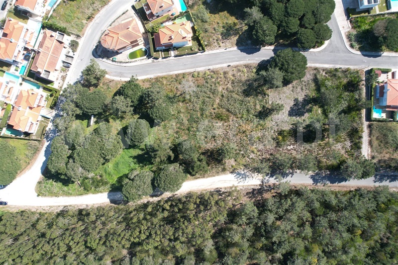 Lote  Óbidos, Pérola da Lagoa - 1307727 - 2