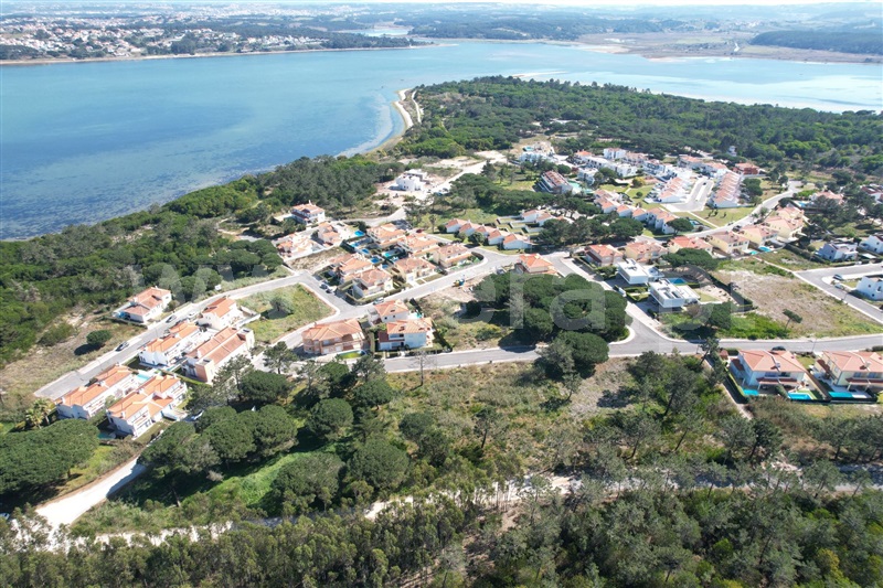 Lote / Óbidos, Pérola da Lagoa