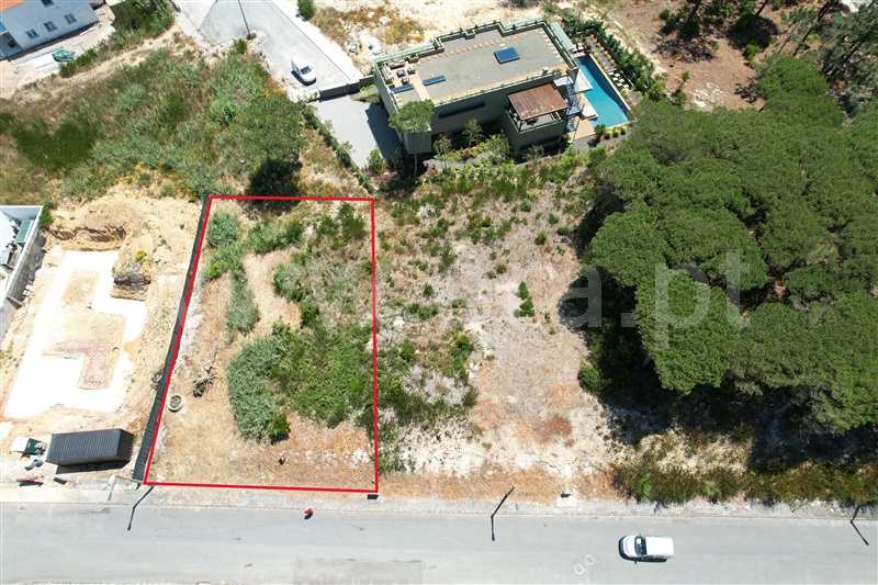 Lote / Óbidos, Pérola da Lagoa