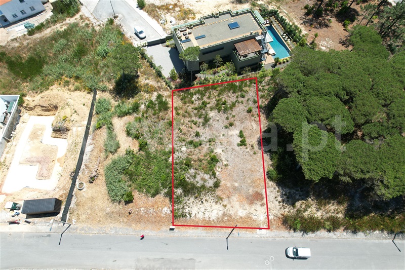 Lote / Óbidos, Pérola da Lagoa