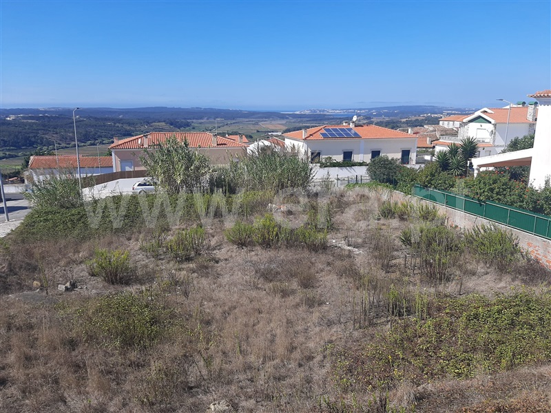 Lote  Óbidos, Santa Maria, São Pedro e Sobral da Lagoa - 1276690 - 6