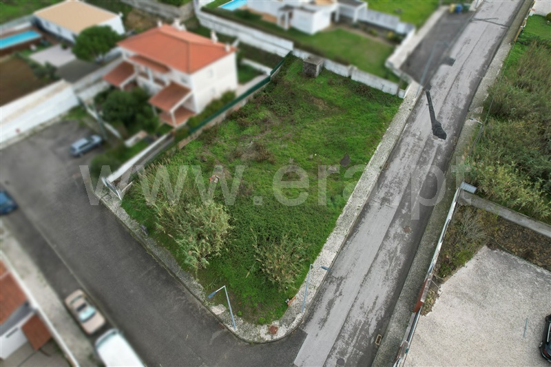 Lote / Óbidos, Sobral da Lagoa