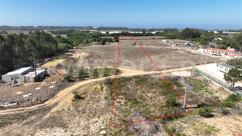 Lote / Odemira, Brejão