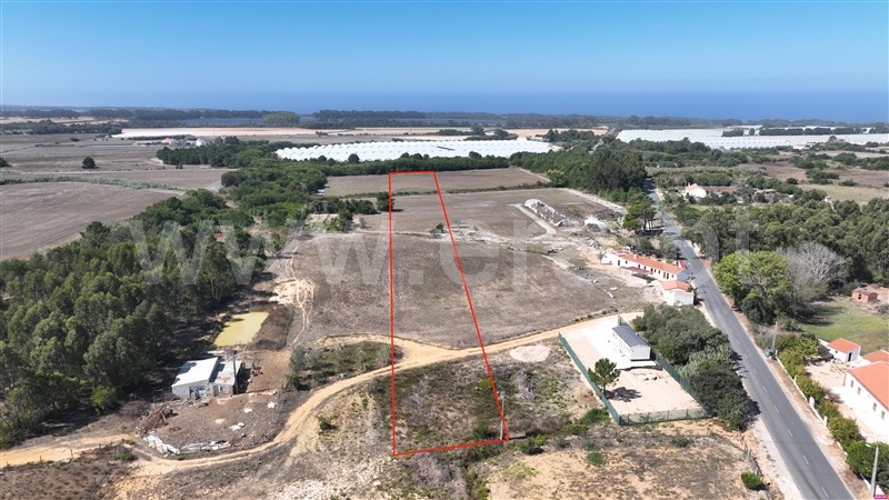 Lote  Odemira, Brejão - 1489964 - 3