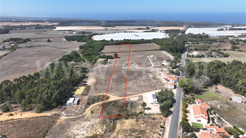 Lote  Odemira, Brejão - 1489964 - 5