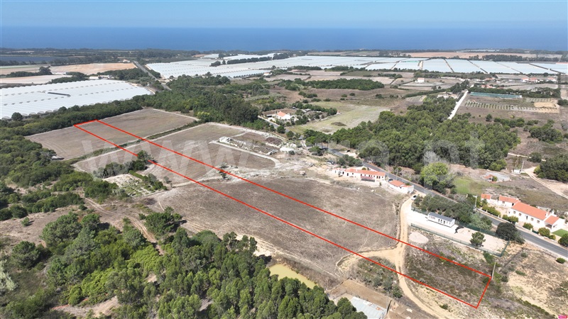 Lote  Odemira, Brejão - 1489964 - 8