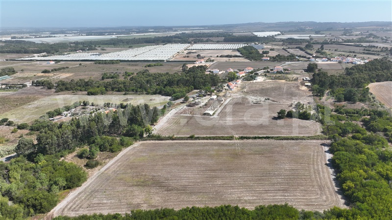 Lote  Odemira, Brejão - 1489964 - 11