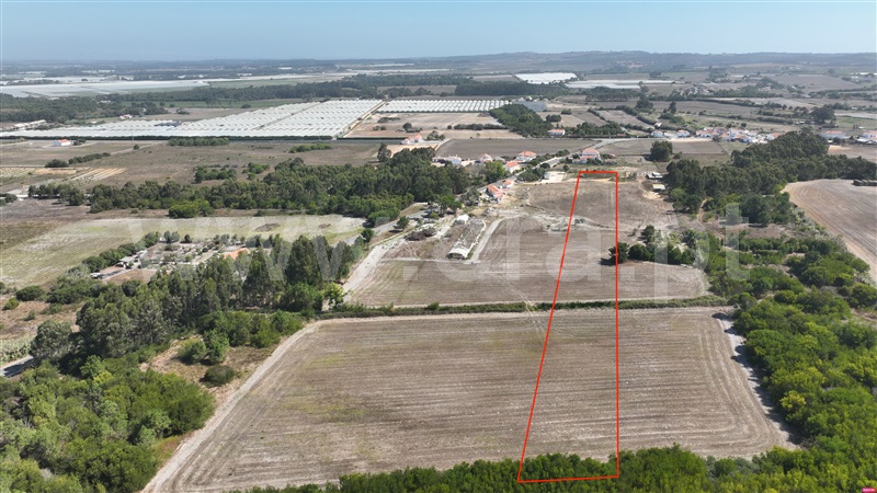 Lote  Odemira, Brejão - 1489964 - 12