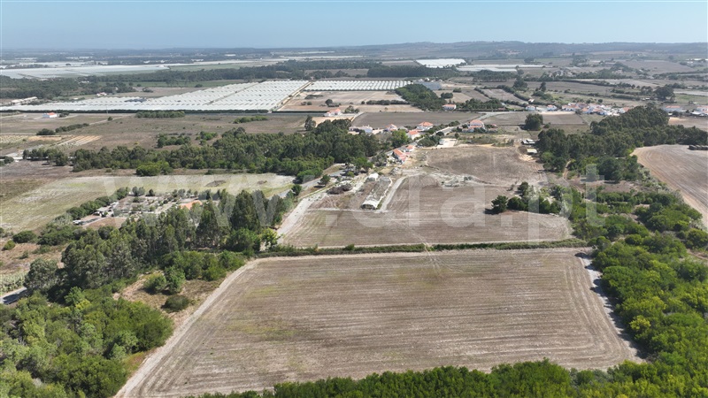 Lote  Odemira, Brejão - 1489964 - 13