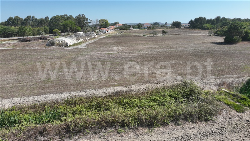 Lote  Odemira, Brejão - 1489964 - 14
