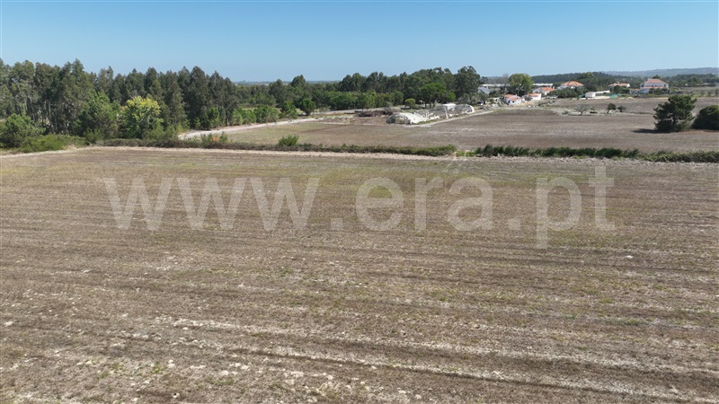 Lote  Odemira, Brejão - 1489964 - 15