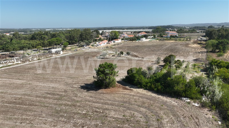 Lote  Odemira, Brejão - 1489964 - 17