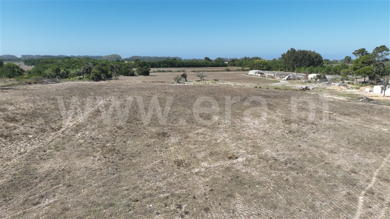 Lote  Odemira, Brejão - 1489964 - 18