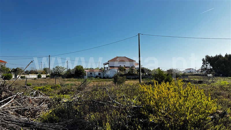 Lote  Odemira, Brejão - 1489964 - 19